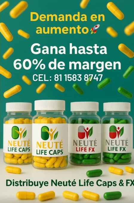 screenshot 2025 12 03 001432