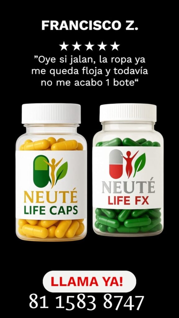 whatsapp image 2025 11 03 at 19.08.26 5dffc524