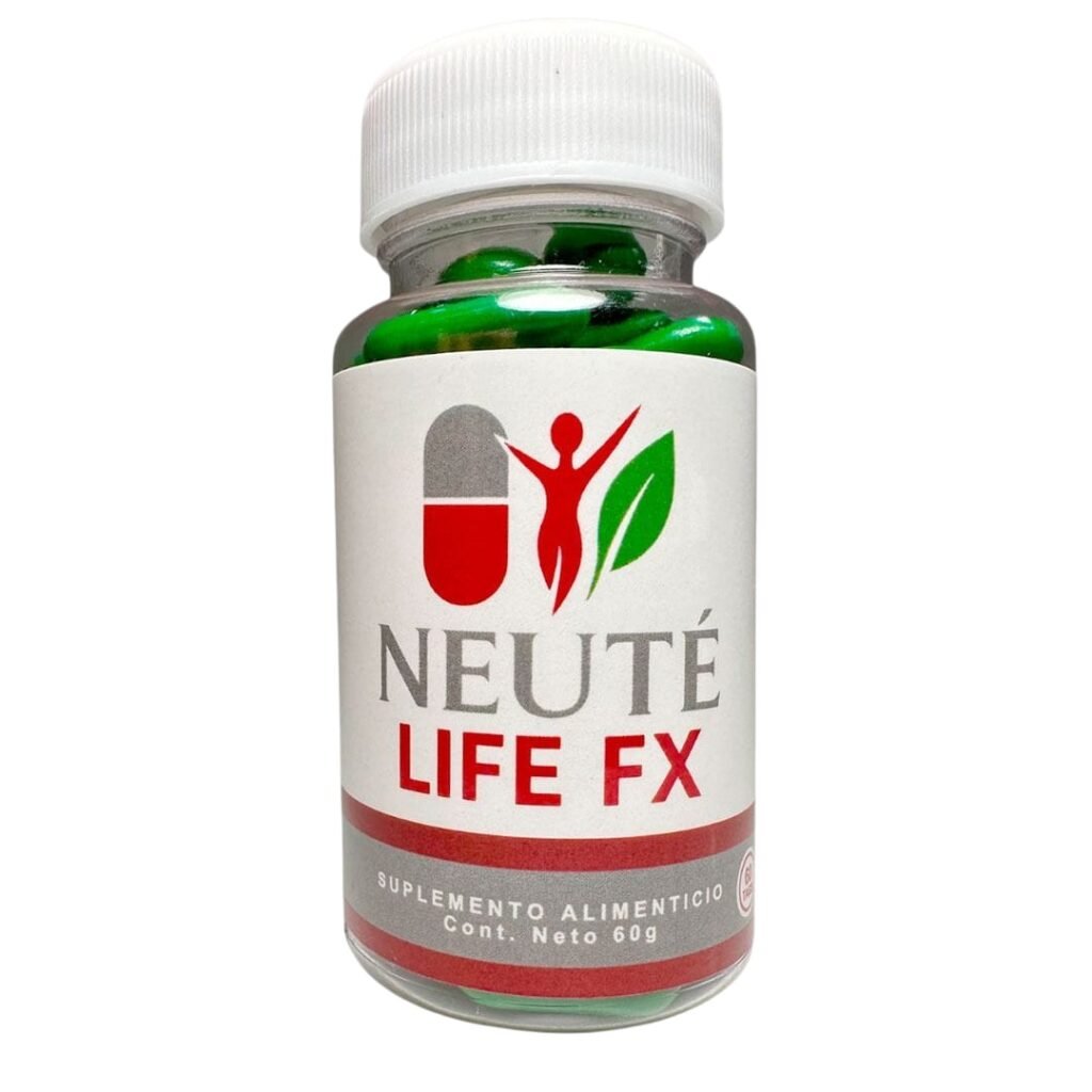 whatsapp image 2025 11 03 at 19.22.51 11438004