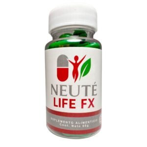 whatsapp image 2025 11 03 at 19.22.51 11438004